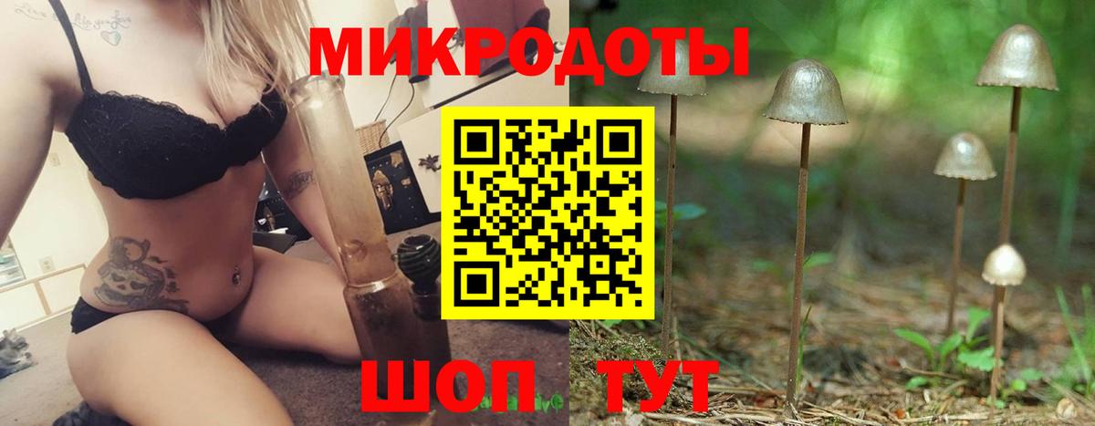 Псилоцибиновые грибы Psilocybe  Псилоцибиновые грибы Psilocybine cubensis  Вход с VPN  Губаха 